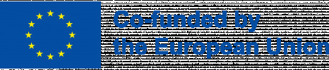 EU Flag and info co-funded by the European Union